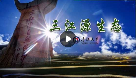 TIM截图20200102131442.png